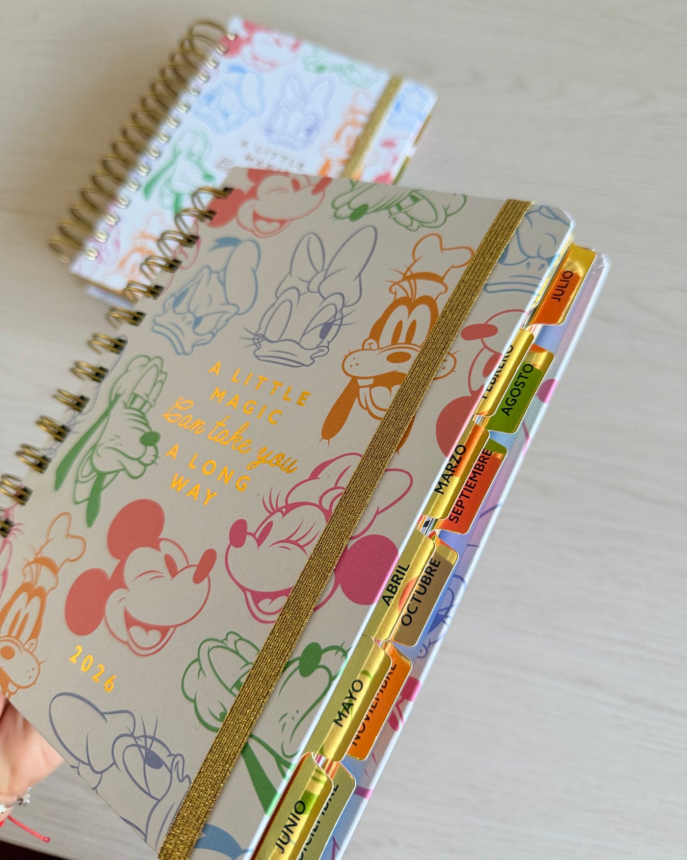 Agenda 2026 Disney – Mickey & Friends