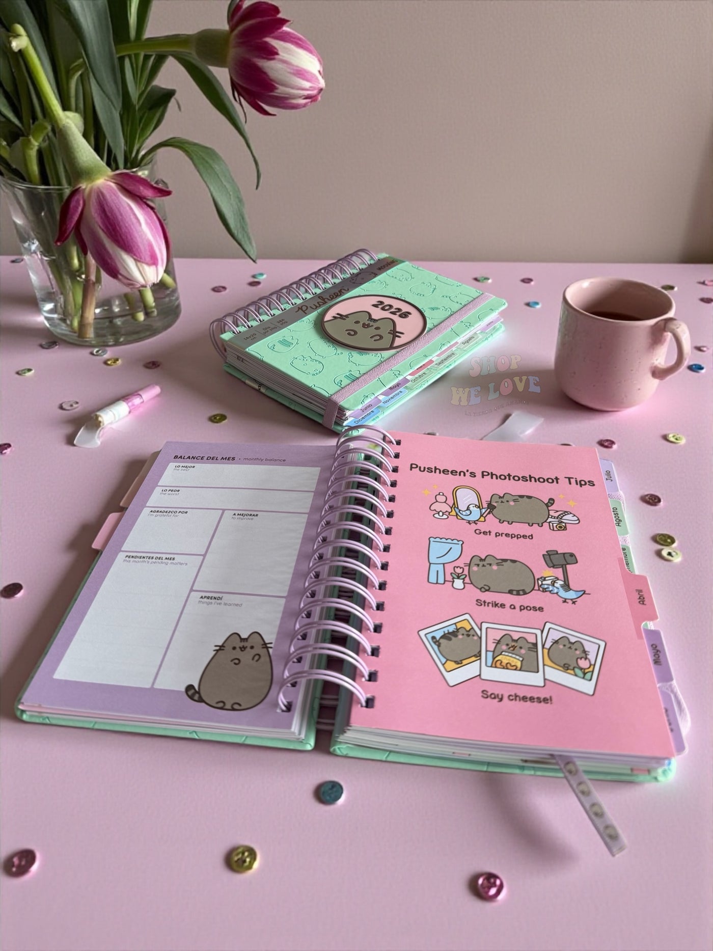 Agenda 2026 Pusheen – Edición Premium Pastel con Stickers y Separadores Mensuales