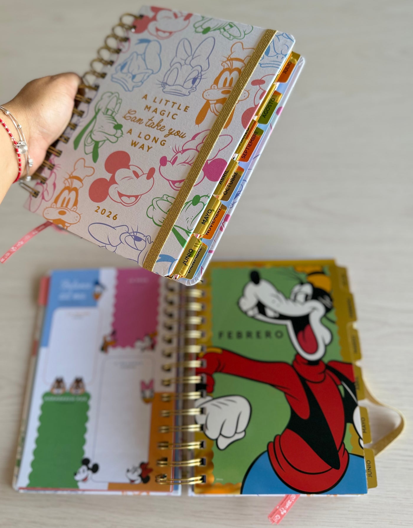 Agenda 2026 Disney – Mickey & Friends