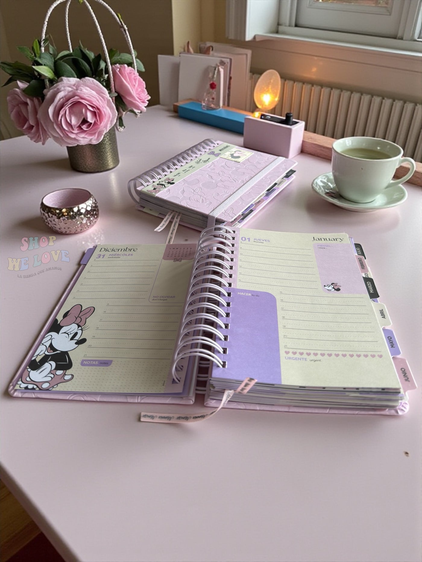 Agenda 2026 Minnie Mouse