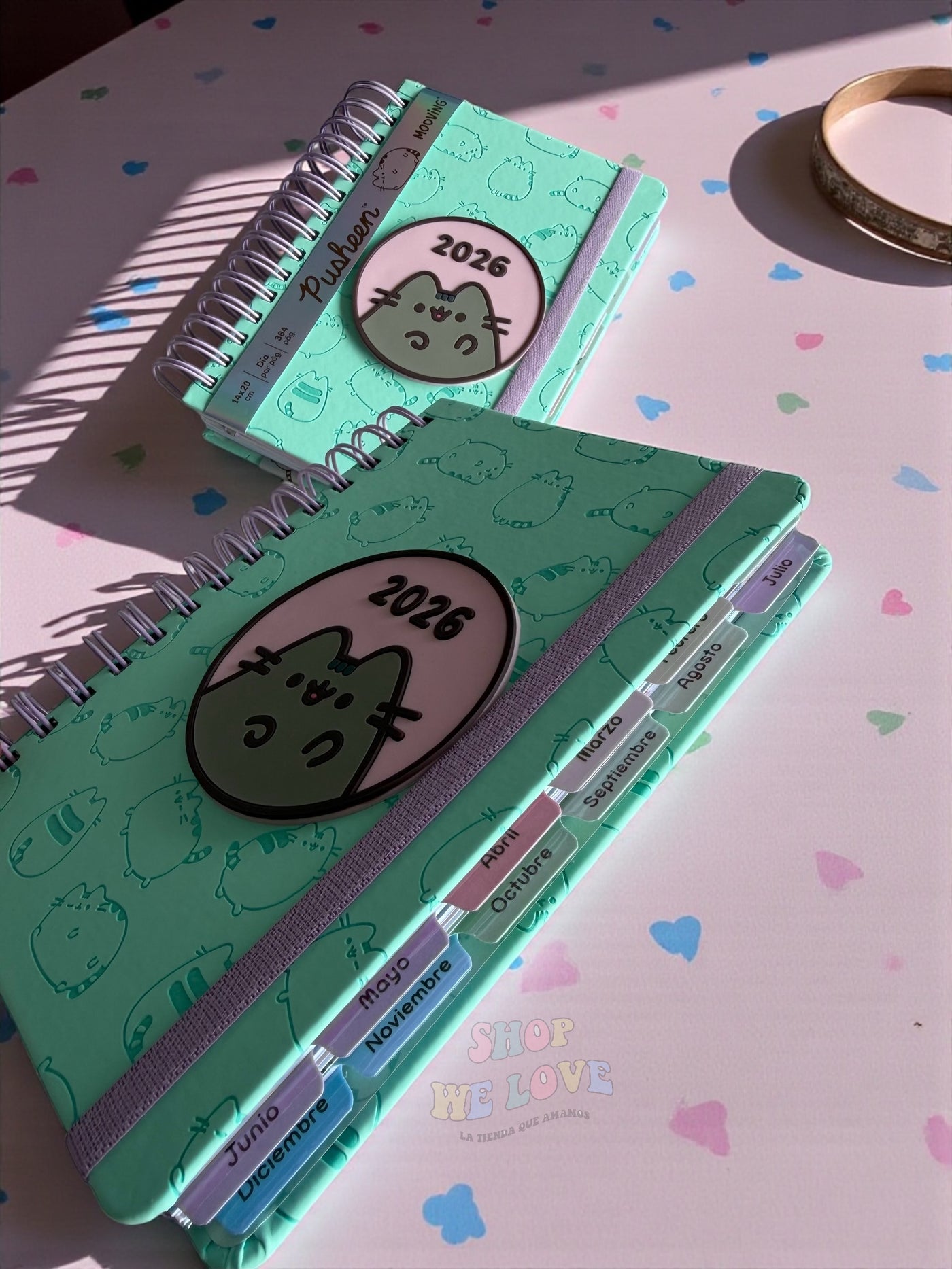 Agenda 2026 Pusheen – Edición Premium Pastel con Stickers y Separadores Mensuales